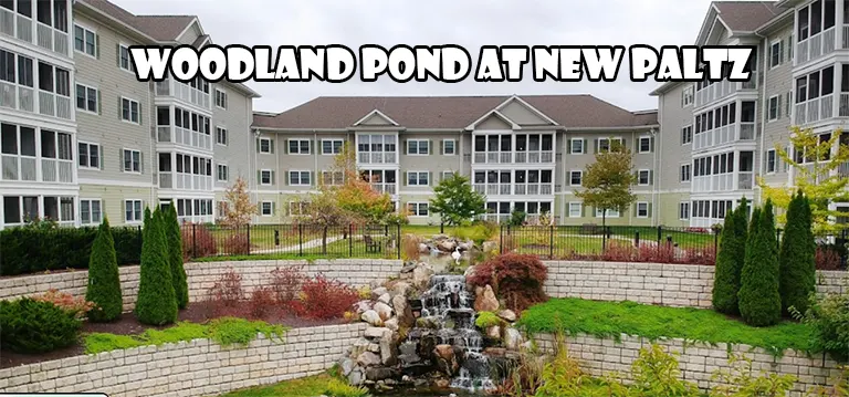 Woodland Pond At New Paltz